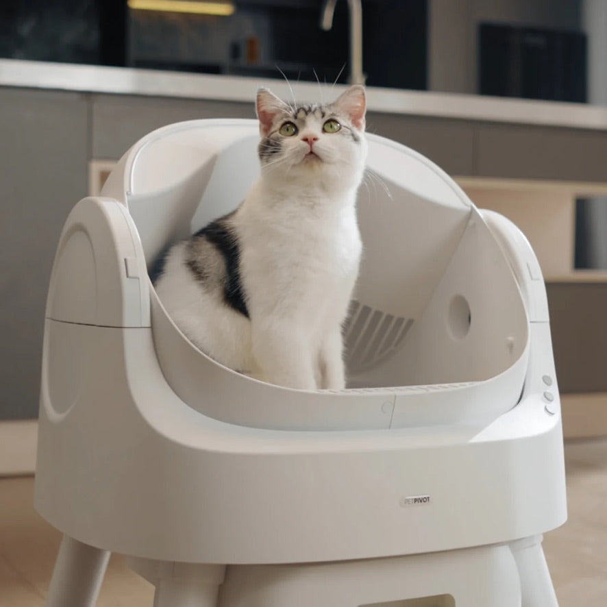 Petvou™ Automatic Self-Cleaning Cat Litter Box