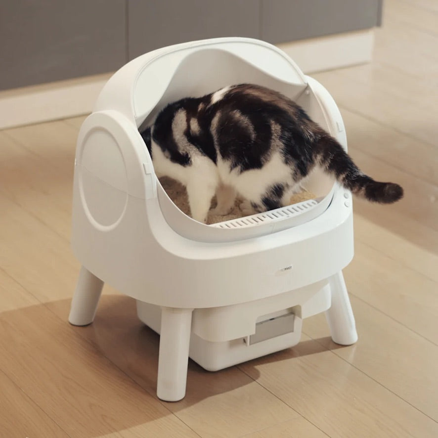 Petvou™ Automatic Self-Cleaning Cat Litter Box