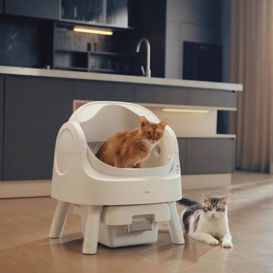Petvou™ Automatic Self-Cleaning Cat Litter Box