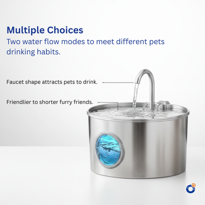 SmartFlow Stainless Steel Water Fountain